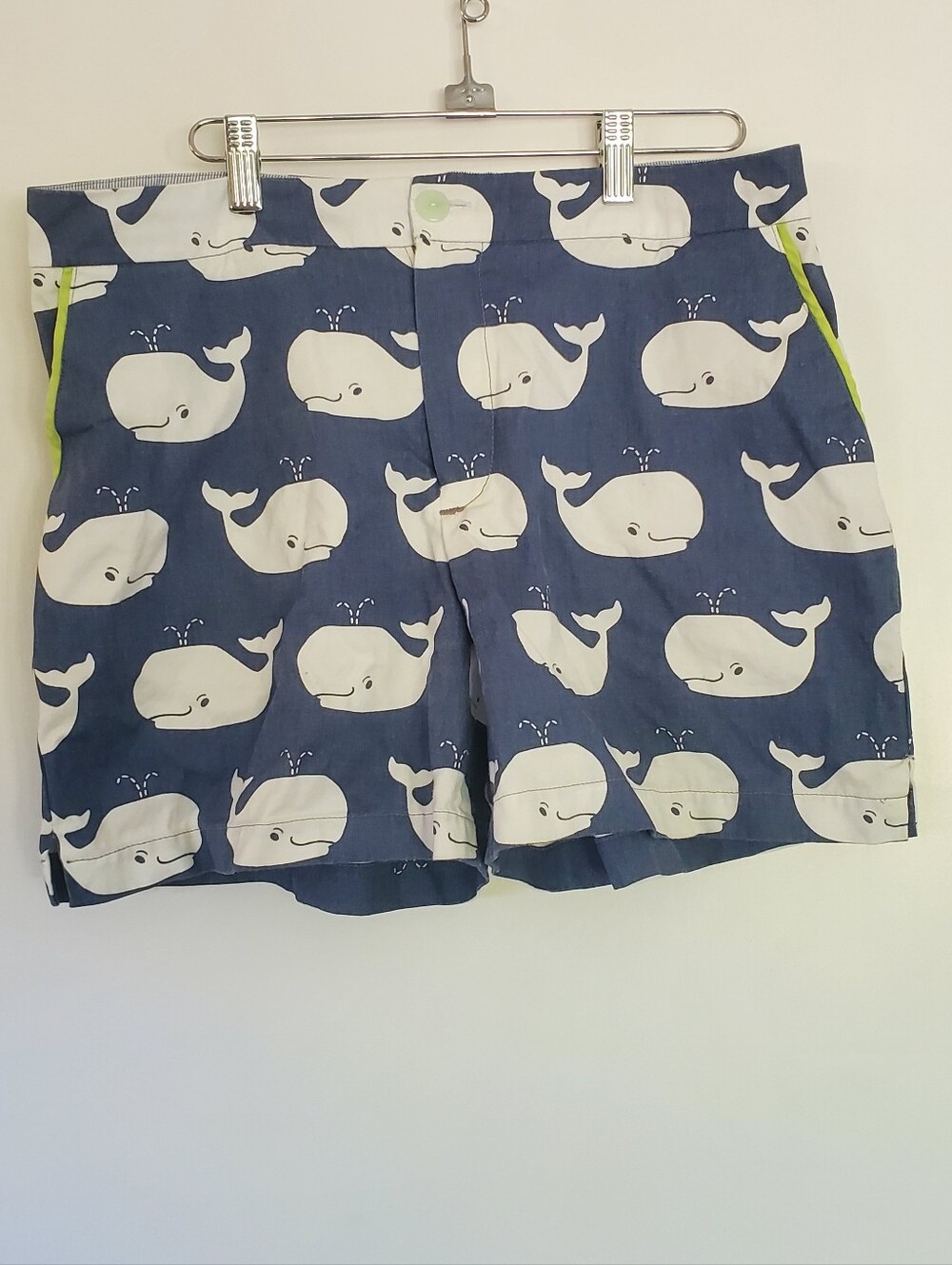 Whale Shorts